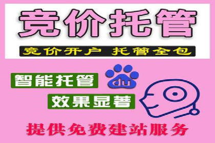 关键词竞价排名实战案例精选解析